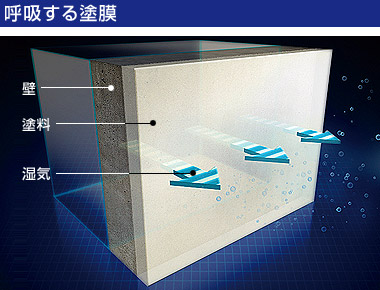 塗膜呼吸イメージ 塗膜呼吸イメージ